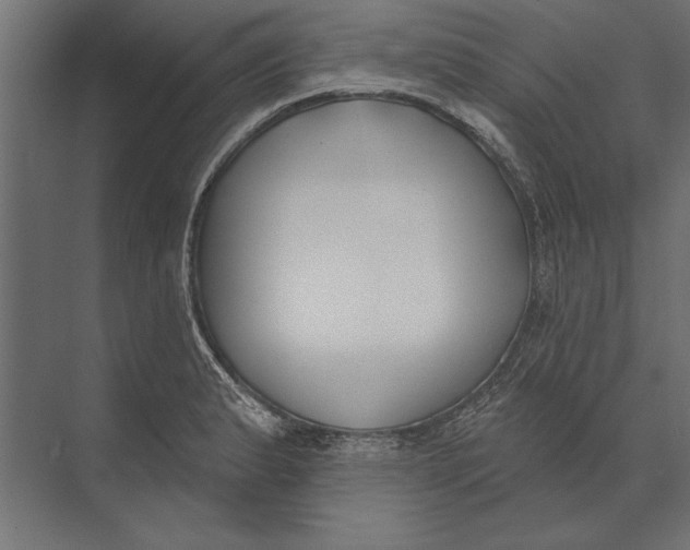X0000073441183200608181205