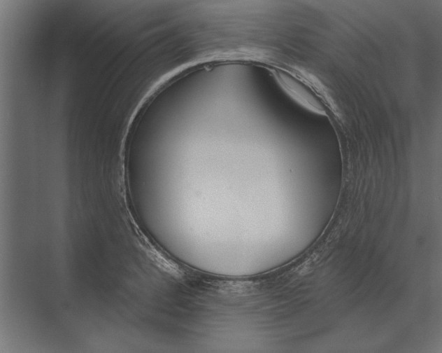 X0000073441184200608181205
