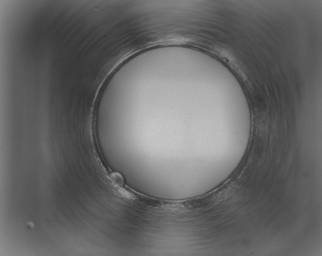 X0000073441186200608181205
