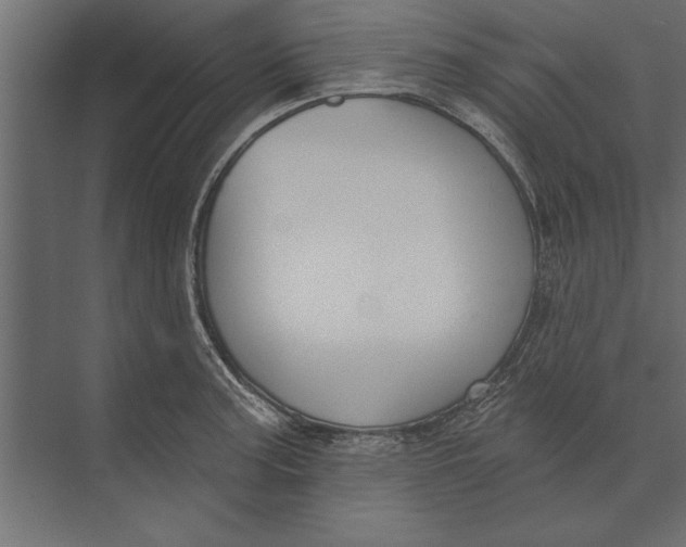 X0000073441187200608181205