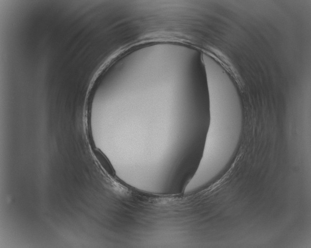X0000073441188200608181205