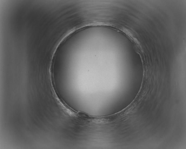 X0000073441189200608181205