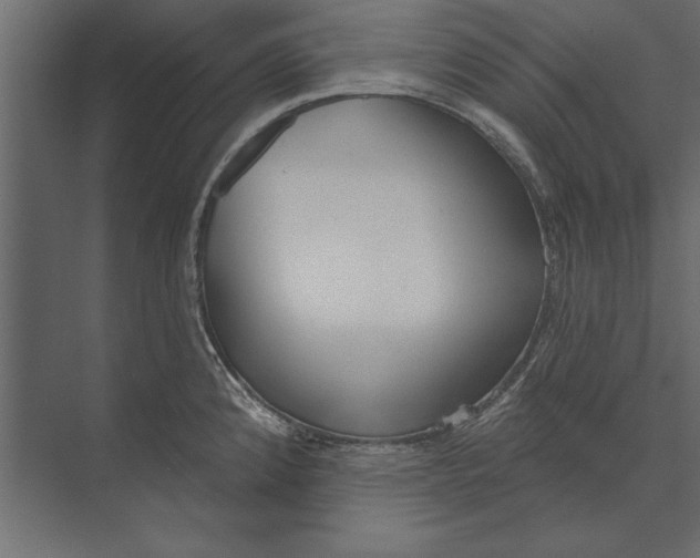 X0000073441192200608181205