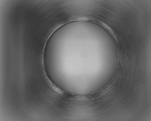 X0000073441194200608181205