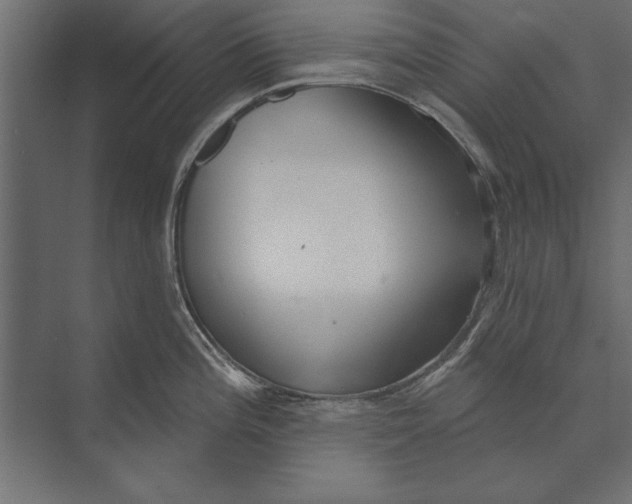 X0000073441196200608181205