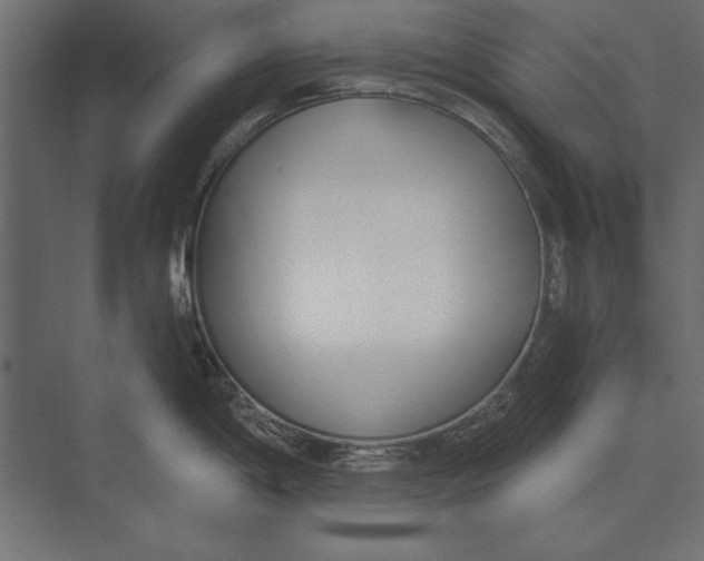 X0000073441198200608181204