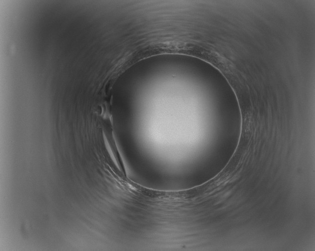 X0000073441202200608181204