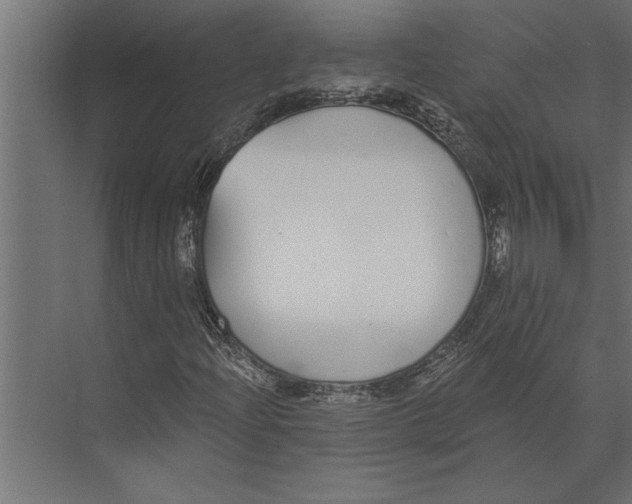 X0000073441204200608181204