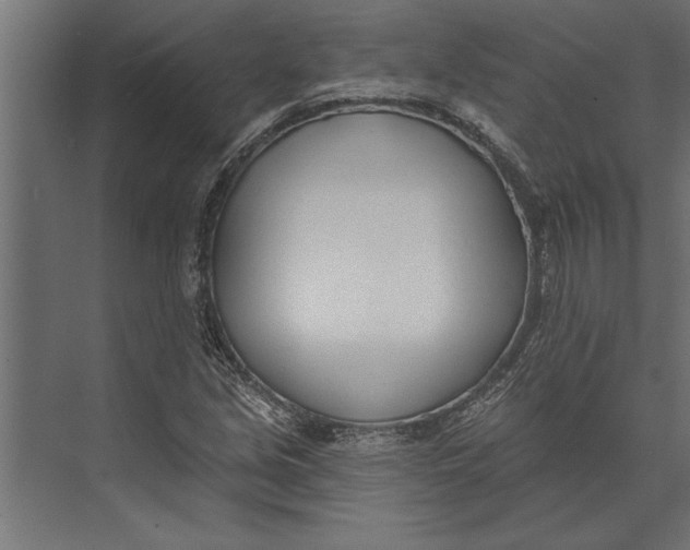 X0000073441213200608181204