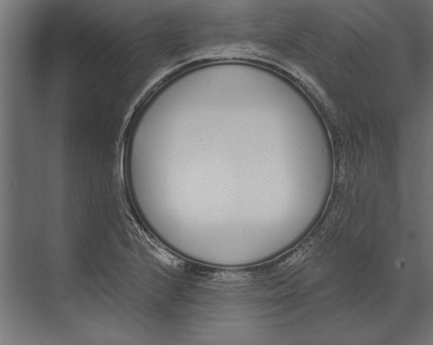 X0000073441224200608181204