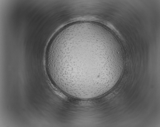 X0000073441232200608181204