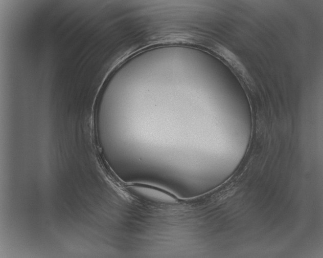 X0000073441234200608181204