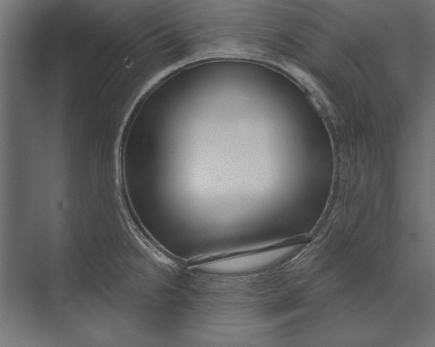 X0000073441238200608181204
