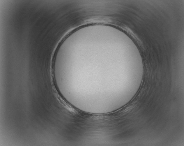 X0000073441240200608181204