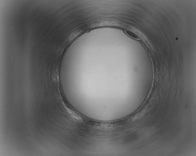 X0000073441241200608181204
