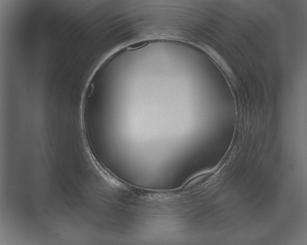 X0000073441246200608181204