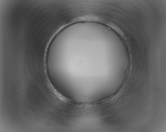 X0000073441248200608181204