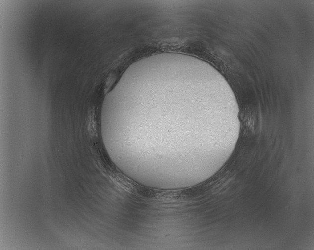 X0000073441252200608181204