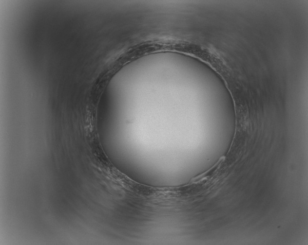 X0000073441253200608181204