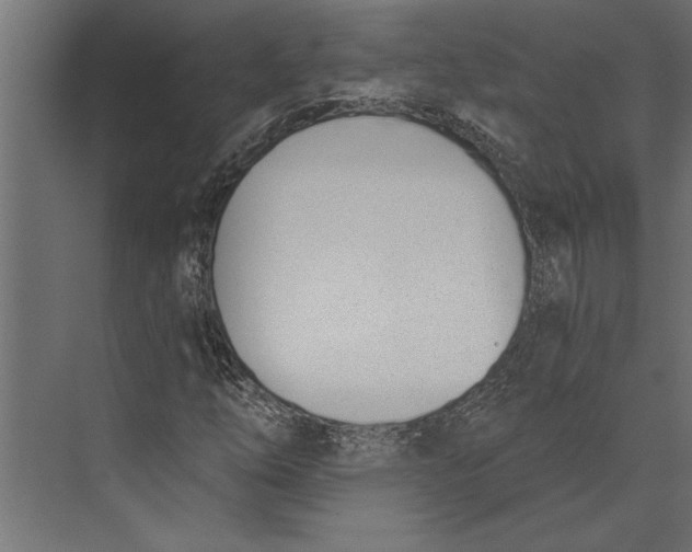 X0000073441254200608181204