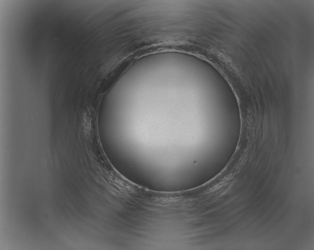 X0000073441257200608181203