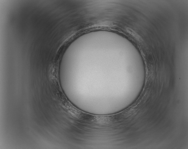 X0000073441258200608181203