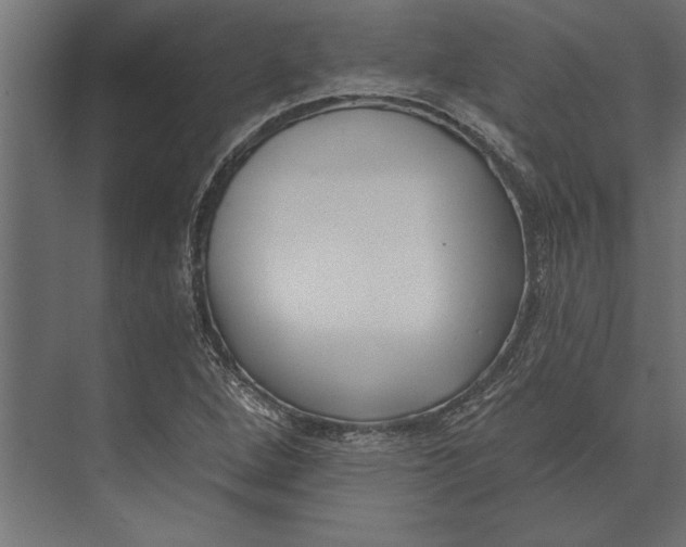 X0000073441264200608181203