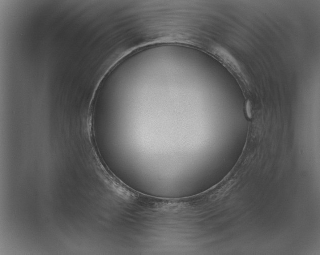 X0000073441284200608181203