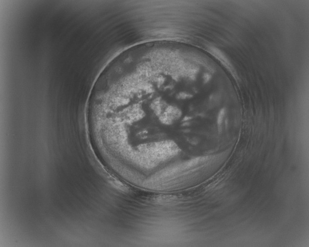 X0000073441291200608181203