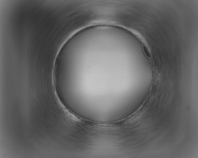 X0000073441295200608181203