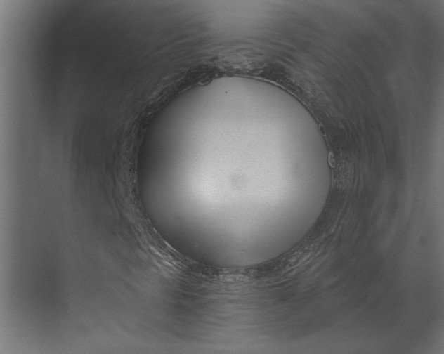 X0000073441297200608181202