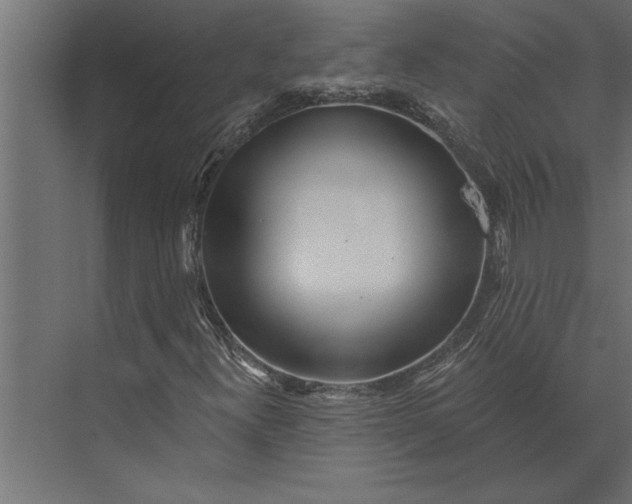 X0000073441300200608181202
