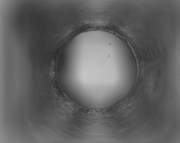 X0000073441301200608181202