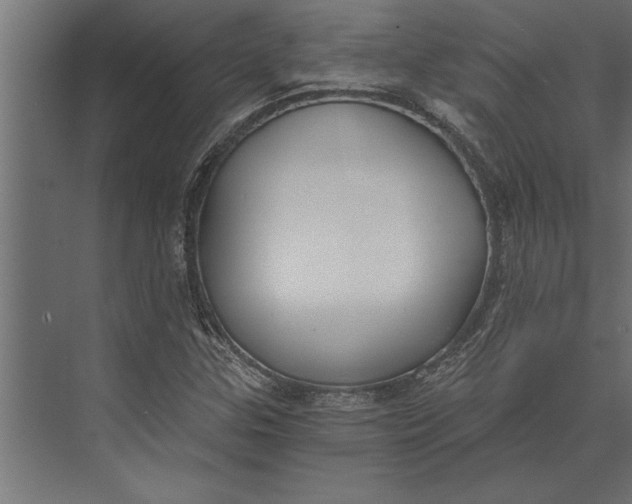X0000073441307200608181202