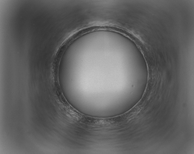 X0000073441311200608181202