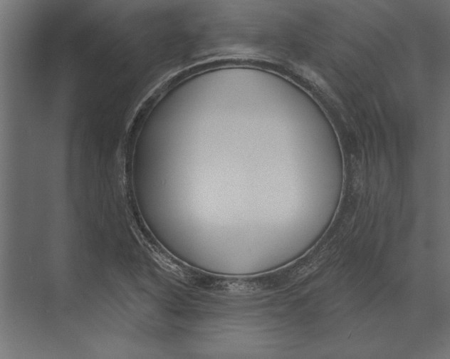 X0000073441318200608181202