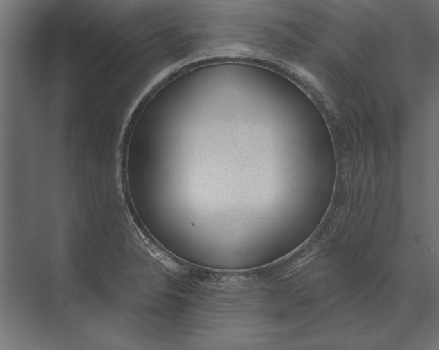 X0000073441326200608181203