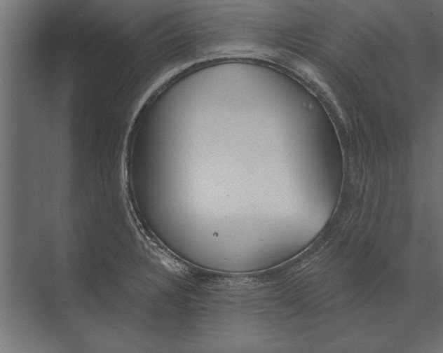 X0000073441328200608181203