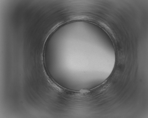 X0000073441330200608181203