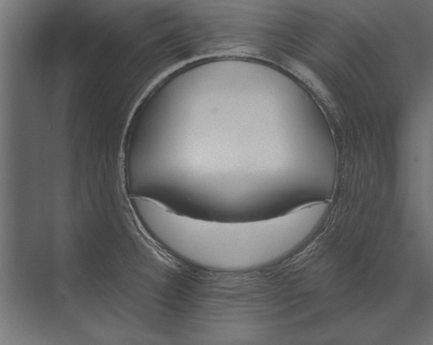 X0000073441332200608181203
