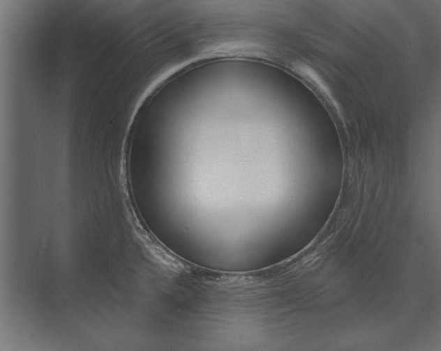 X0000073441336200608181203