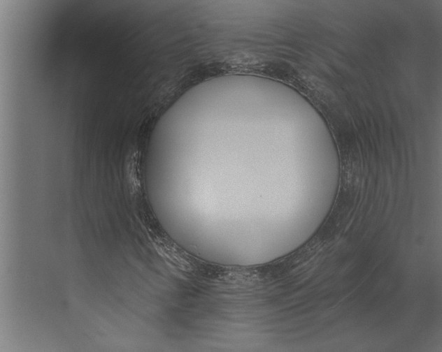 X0000073441346200608181202
