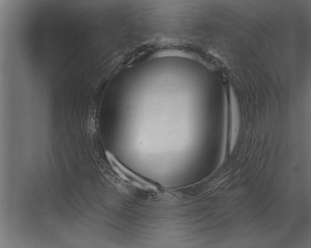 X0000073441348200608181202