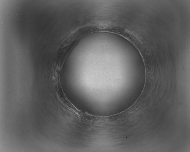 X0000073441349200608181202