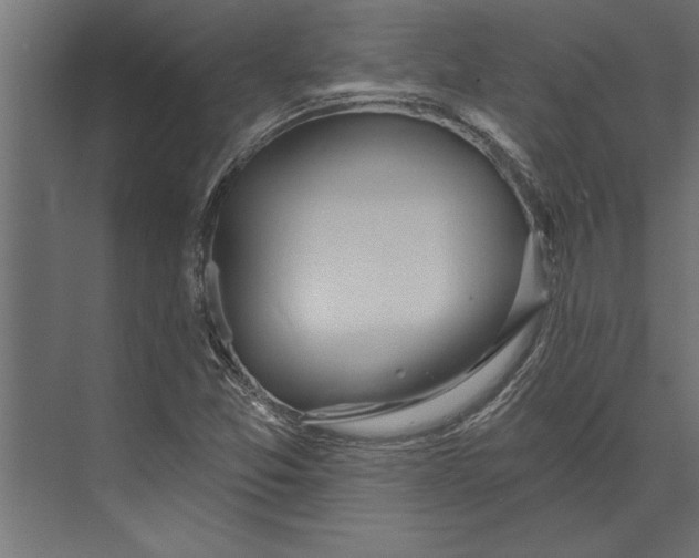 X0000073441357200608181202
