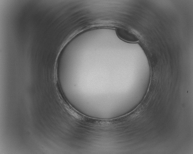 X0000073441370200608181202