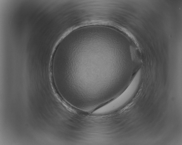 X0000073441373200608181202
