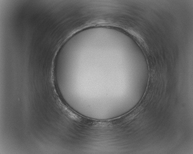 X0000073441374200608181202