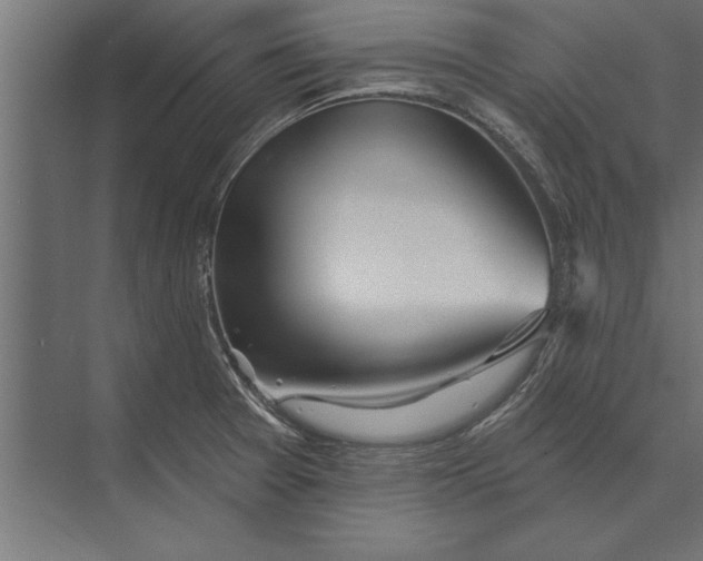 X0000073441377200608181201