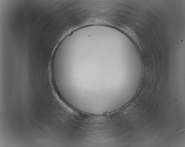 X0000073441382200608181201